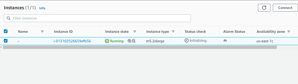 View your MiniKF instance on the EC2 Console
